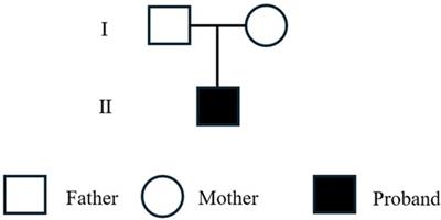 In-depth analysis of OTC A208T case induced by OTC gene mutation and research on the prediction and simulation of the impact on protein function